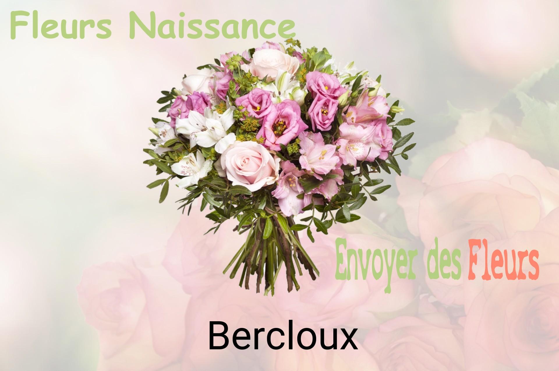 Bouquet de fleurs de naissance livré à Bercloux